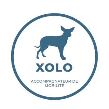 xolo-logo-blue-team-ok